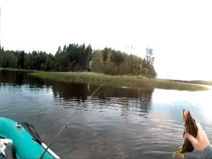 Щука поймана с лодки